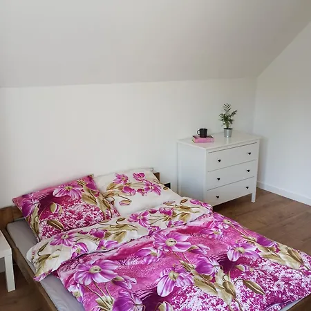 Cracow House Under Walnut Tree Tatil Evi