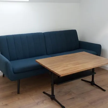 Cracow House Under Walnut Tree Krakow